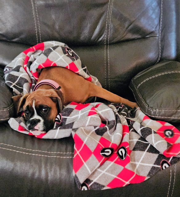 PGG Collegiate Collection- Red Gray Plaid Fleece Throw