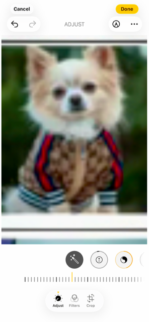 Designer-Inspired Stripe & Signature Zip-up Jacket