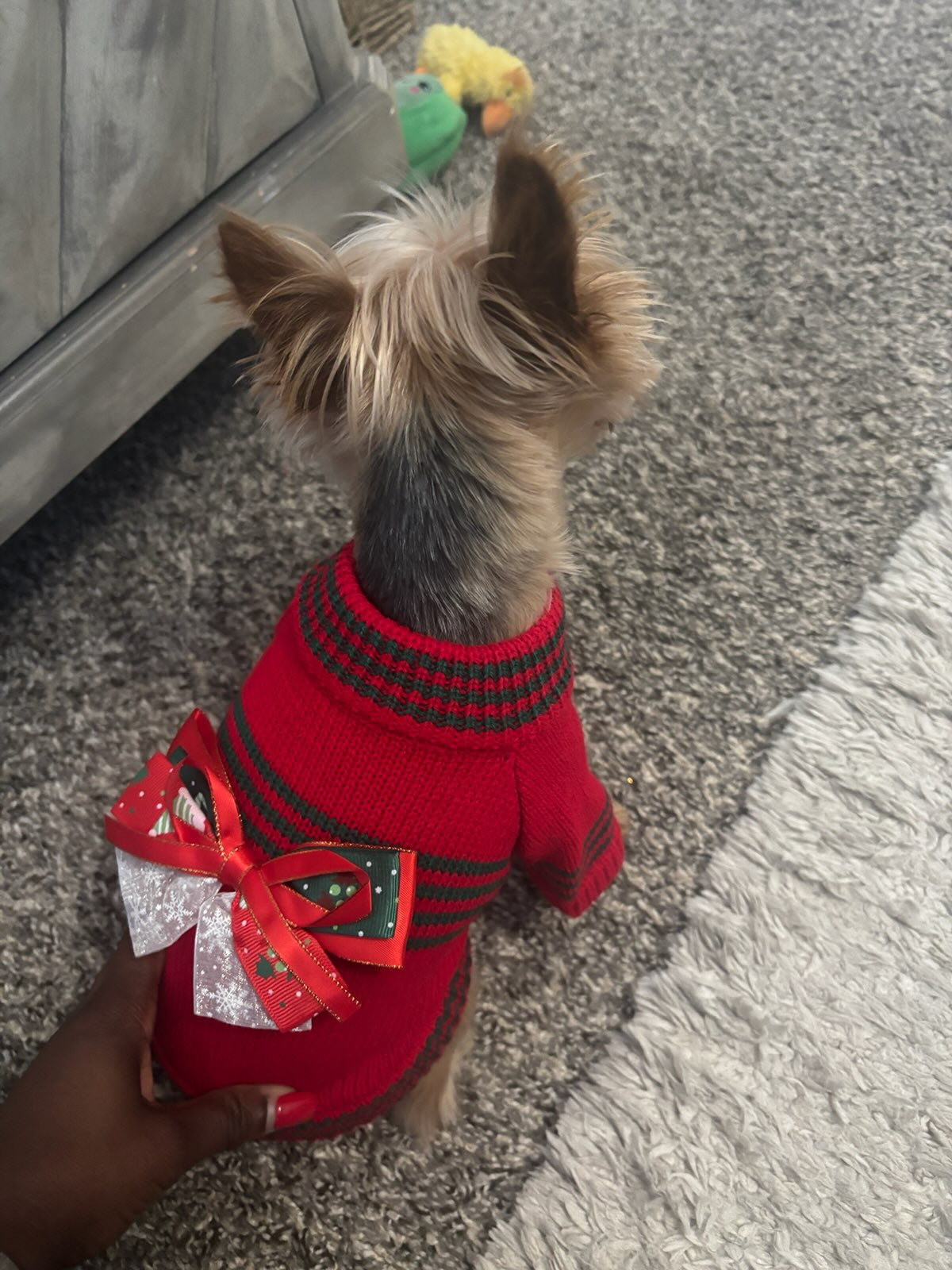 Red Xmas Sweater w/Bow